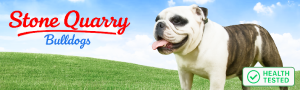 bulldog Ad